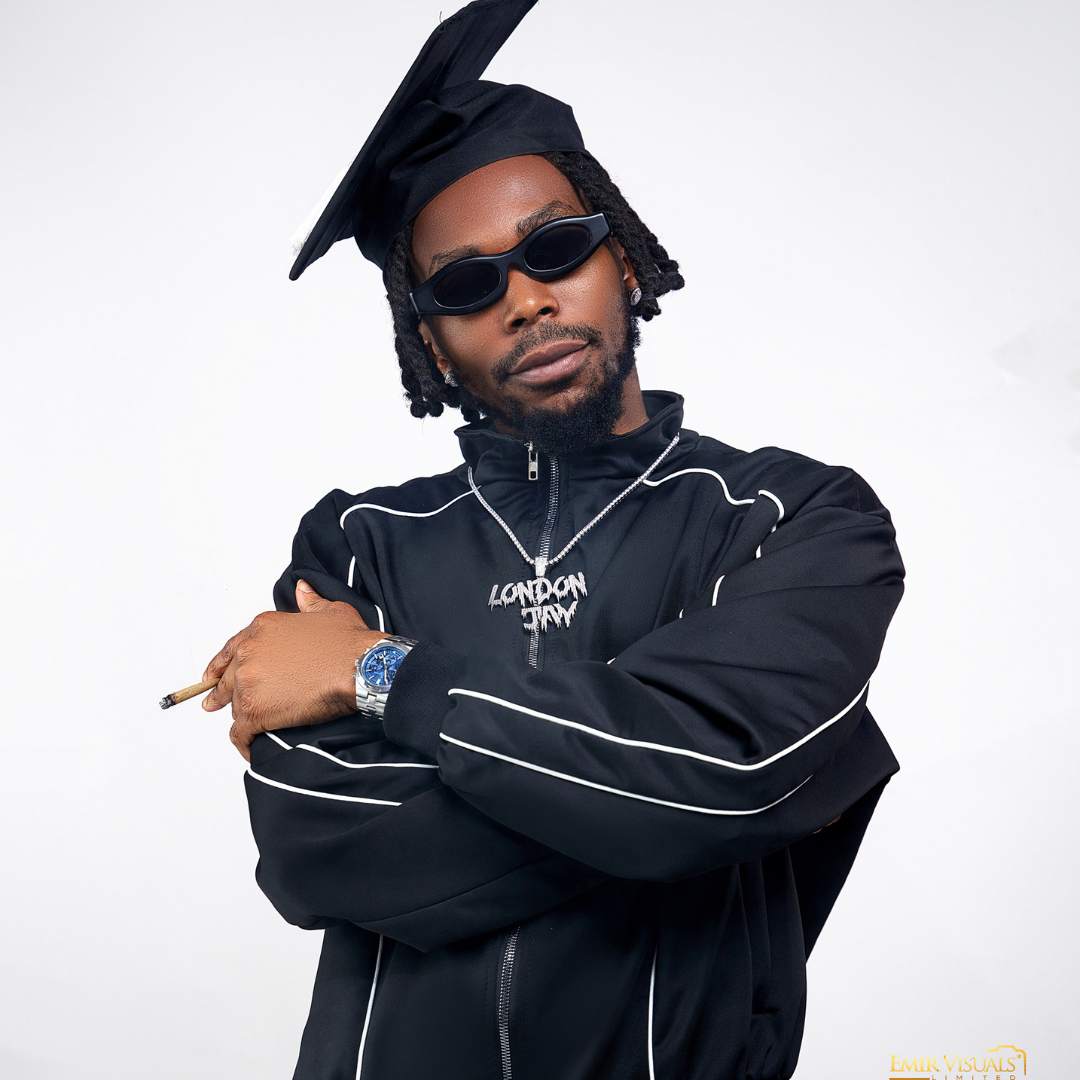 Interactive Art Installations with Velvet Vibe: 