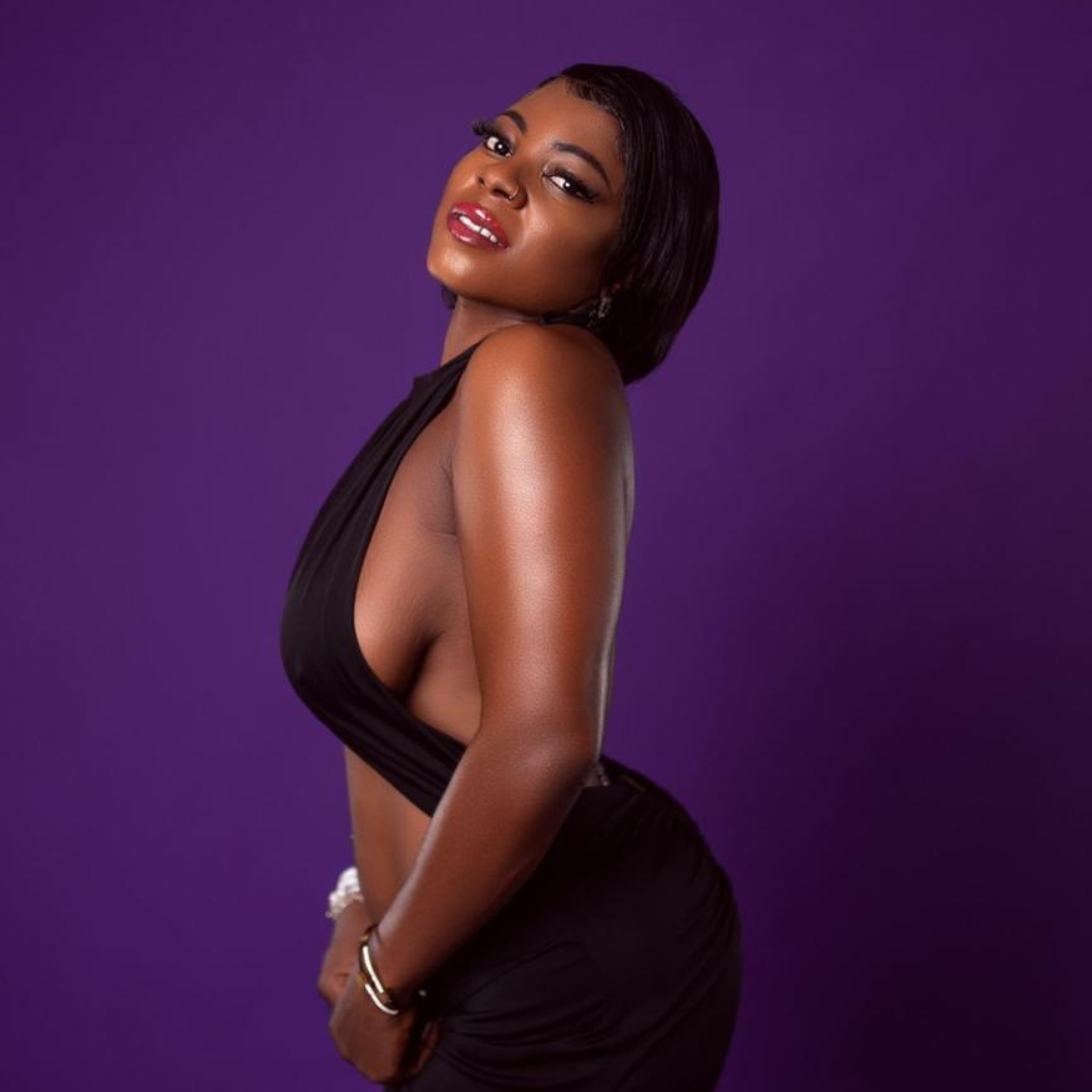 Interactive Art Installations with Velvet Vibe: 